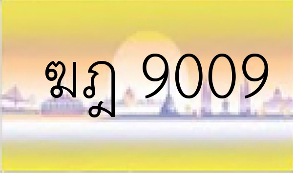 ฆฎ 9009